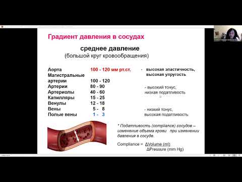 Нормальная физиология - Гемодинамика (леч, пед) (Шишелова)