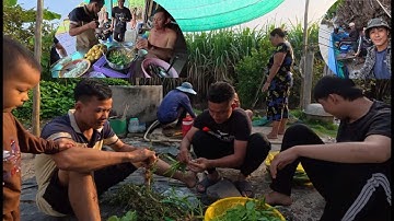 Xuống Ngang Làng Cá Trà Vinh Trãi Nghiệm Và Nồi Lẫu Mắm Thơm Nồng BLMT # 501