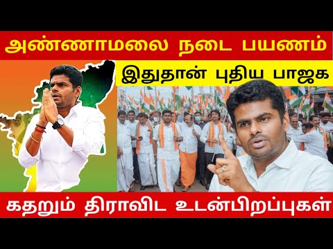 Master Plan Tamilnadu BJP- அண்ணாமலையின் நடைபயணம் தமிழ்நாட்டு அரசியலை புரட்டிப் போடும் The Info Tamil