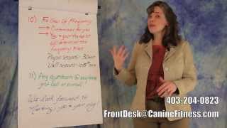 The Canine Fitness Centre - What to Expect, Canine Rehab & Physio