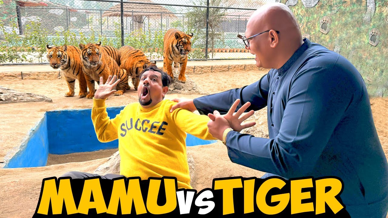 Mamu Ko Tiger K Agy Dall Diya🐯SW Pet House - Llama Ka Kia Name Rakhay?🦙| BT Farm Stories