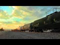 Rare BNSF freight train with 29 heavy duty 8 axle flat cars!