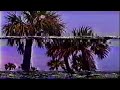 50 Cent Window Shopper Instrumental Slowed Reverb 50 Cent Window Shopper Instrumental Slowed Reverb