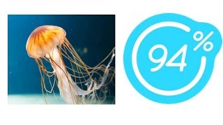Игра 94% Картинка Медуза | Ответы на 12 уровень игры. Игра 94% Картинка Медуза | Ответы на 12 уровень игры.