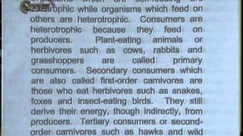 reading in the content area 3