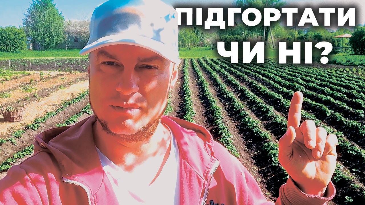 КАРТОПЛЯ: ПІДГОРТАТИ ЧИ НІ? КОРИСНІ ВДОСКОНАЛЕННЯ ДЛЯ МОТОБЛОКА!