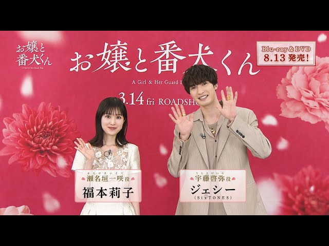 DVD お嬢と番犬くん　レンタル落ち DVD お嬢と番犬くん レンタル落ち - メルカリ