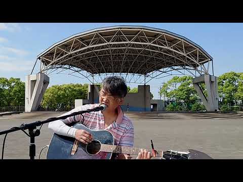 Young Bloods／佐野元春【アコギ弾き語りカバー】