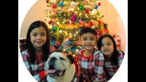 How to Crop Photos Into Circles - Free and Easy Using Silhouette Studio