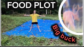 I built a food plot! (Big Buck) #jesus#lilysoutdoors#hunting#deerhunting#viralvideo#outdoors#fyp