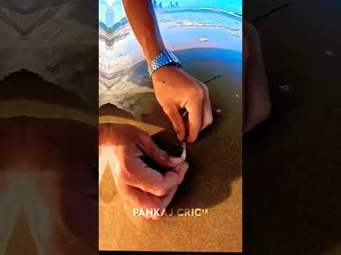 BEACH WORM 🐛#shorts #shortsfeed #facts #batidao #slowed #halo #mychannel #viral