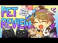  facecam pet review stream