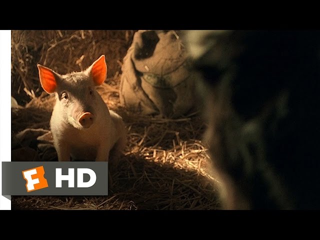 Watch film Babe | Babe