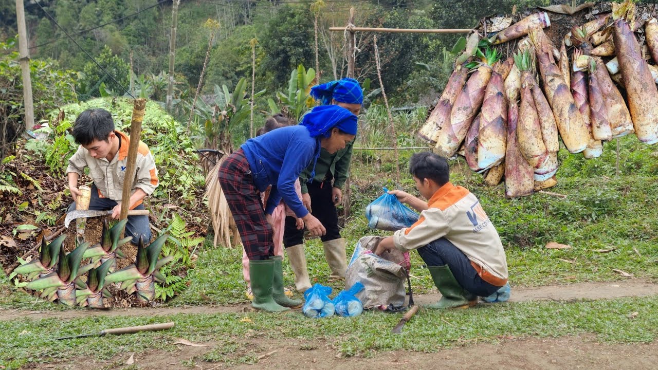 Going into the forest to find young bamboo shoots and how I sold all ...