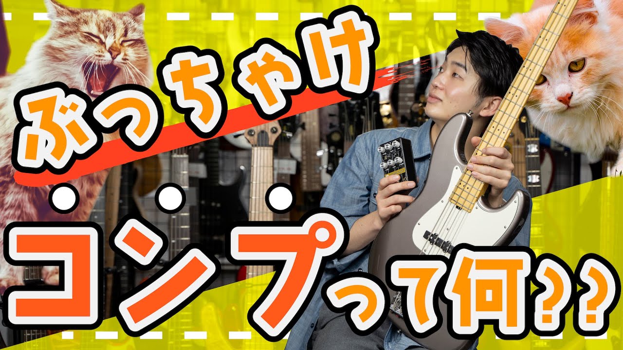 new】Crazy Tube Circuits / φ (Phi) GOLDEN RATIO【横浜店】 - Geek 