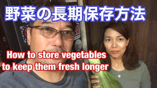 野菜の長期保存方法！How to store vegetables to keep them fresh longer