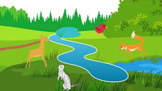 APC-Nemasket Digital Watershed Tour Chapter 7: Flora and Fauna