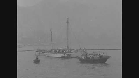 News Item (7492ba69-a06c-9478-d0ce-b265f5de932a)