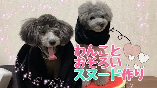 【スヌードの作り方】スヌードを犬にプレゼントしてみたらとんでもなく可愛くなりました