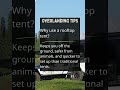 Overlanding Tips - Why Use A Roof Top Tent?
