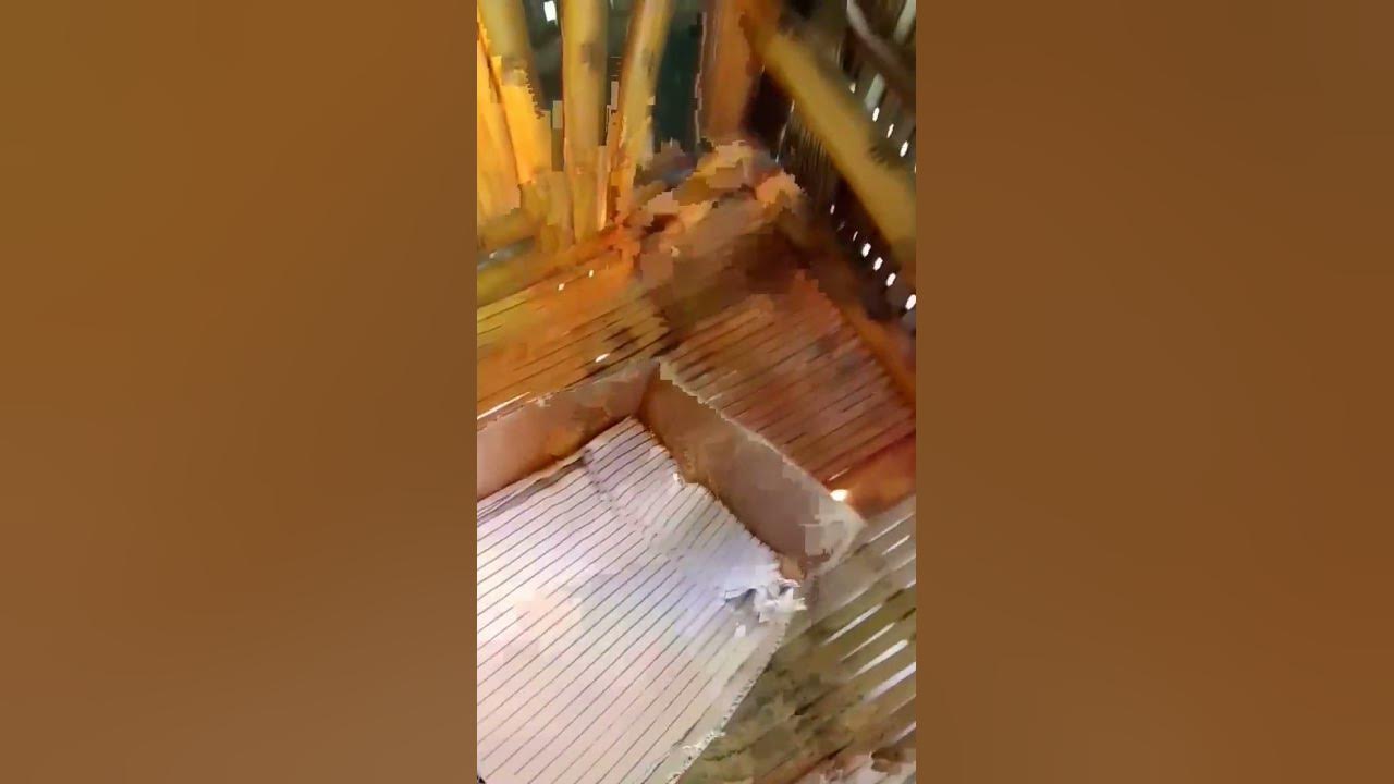 don-t-buy-a-cat-bed-from-the-store-instead-do-this-youtube