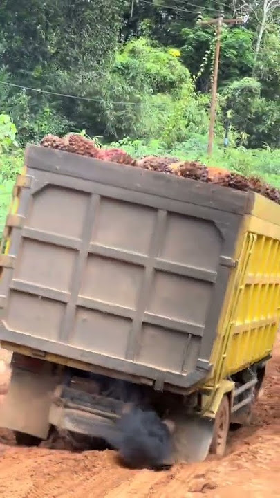 goyang patah patah🤪