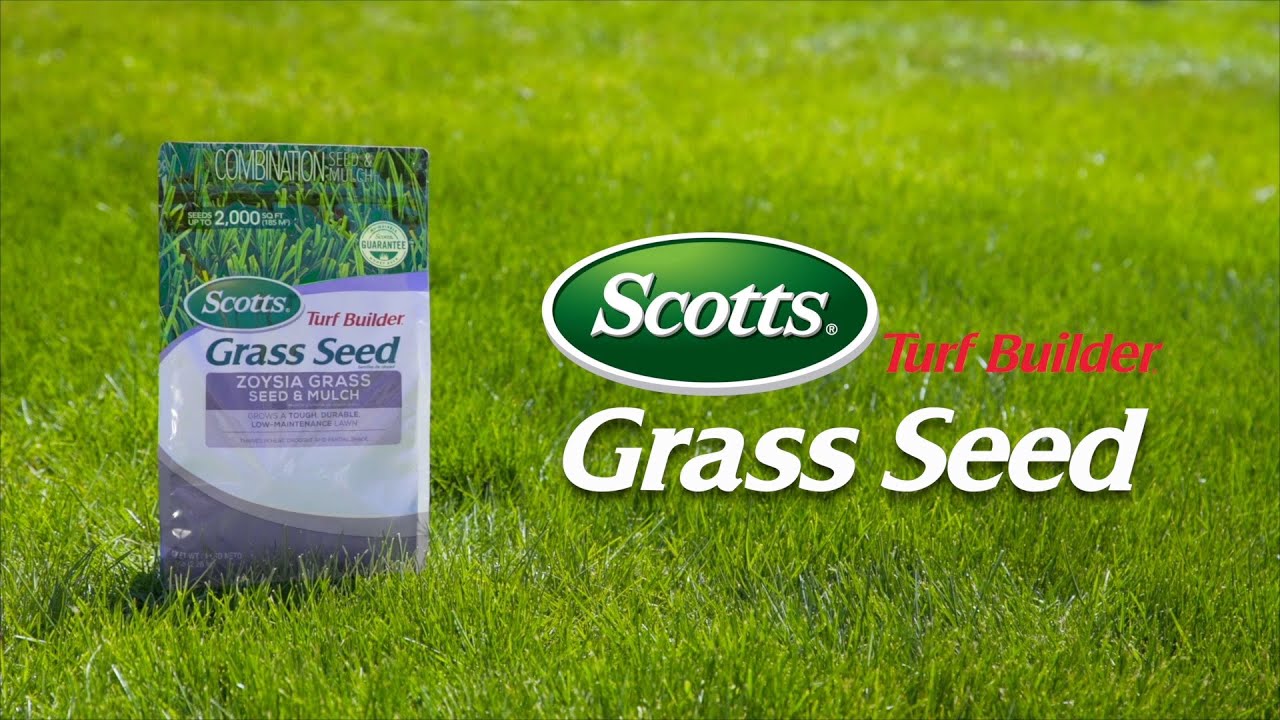 how-to-use-scotts-turf-builder-grass-seed-youtube