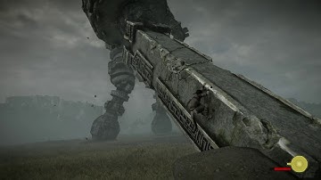 Shadow of the colossus,a useful and hilarious glitch