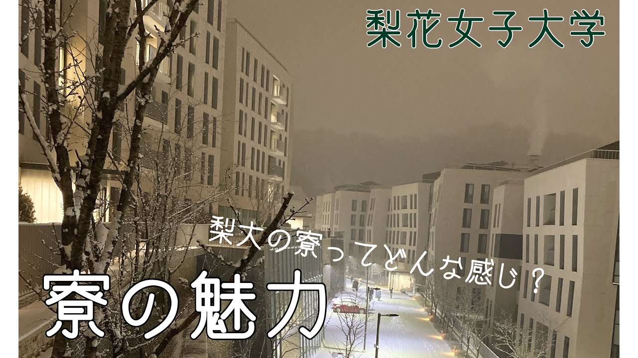 韓国正規留学 梨花女子大学の寮について 魅力 Youtube