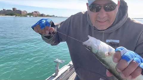 Bottom Bouncing Detroit River