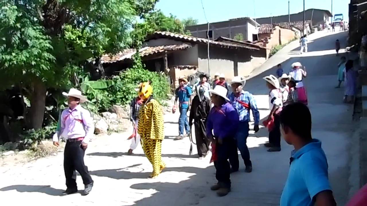 Danza del Tigre Cozoyoapan 2015