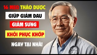 🌿 16 Cách Tự Nhiên Giúp Tái Tạo Sụn & Giảm Đau Khớp Ngay Tại Nhà! 🦵| Sống Khỏe Mỗi Ngày