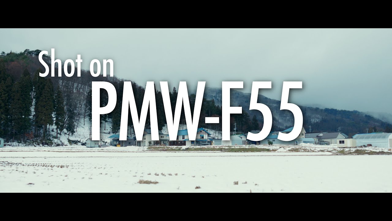 SONY "CineAlta" PMW-F55 Cinematic Footage "Winter"