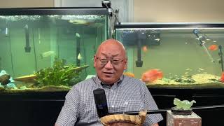 中国搭上美国这班车好几回了;中共搭上美国这班车也已经是第二回了!(20201021第1597期)