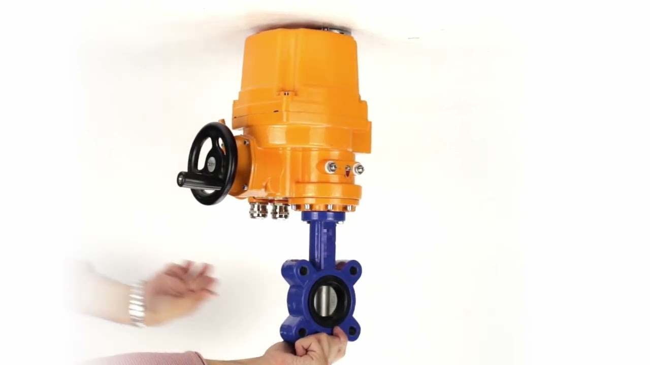 Elephant WBV1631E-2W-Fb-H Water Butterfly Valve Electric Actuator EPDM Seal Stainless Steel Disk