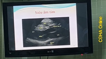 BỆNH CƠ TIM PHÌ ĐẠI BS CKI. PHẠM THỊ THANH MAI