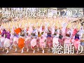 【阿波踊り】徳島阿波おどり2025 初日から真正面ですごい総踊りを見た！ | Awaodori in Tokushima Japan
