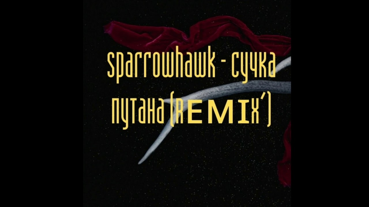 Сучка Путана Текст