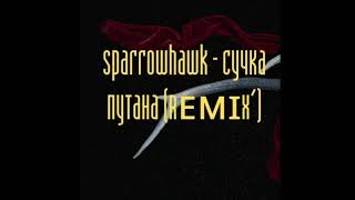 sparrowhawk - сучка путана (remix)