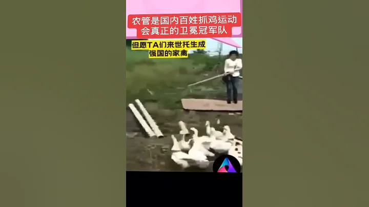 中共城管执法中 #中国 #农村生活 #社会百态 #农民 - 天天要闻