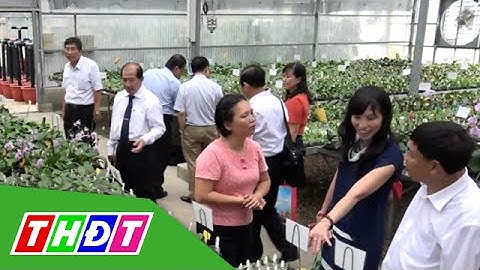 THDT - Những kết quả nổi bật từ chuyến công tác Đài Loan của đoàn cán bộ  Đồng Tháp
