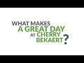Life at cherry bekaert what makes a great day at cherry bekaert