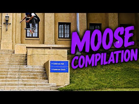 Moose compilation