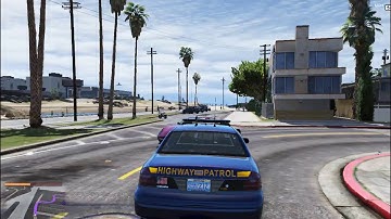 Cops: Live in the LSPDFR Matrix, 16