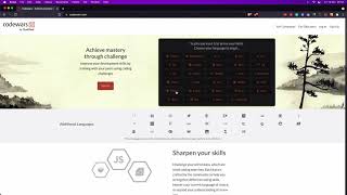 Celebrity Codewars series - 0. Intro Profile
