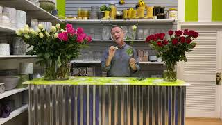 Cattleya | Shop Local | Rose Care with Tony Swick