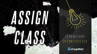 Celebrity eCognition Deconstructed: Assign Class Profile