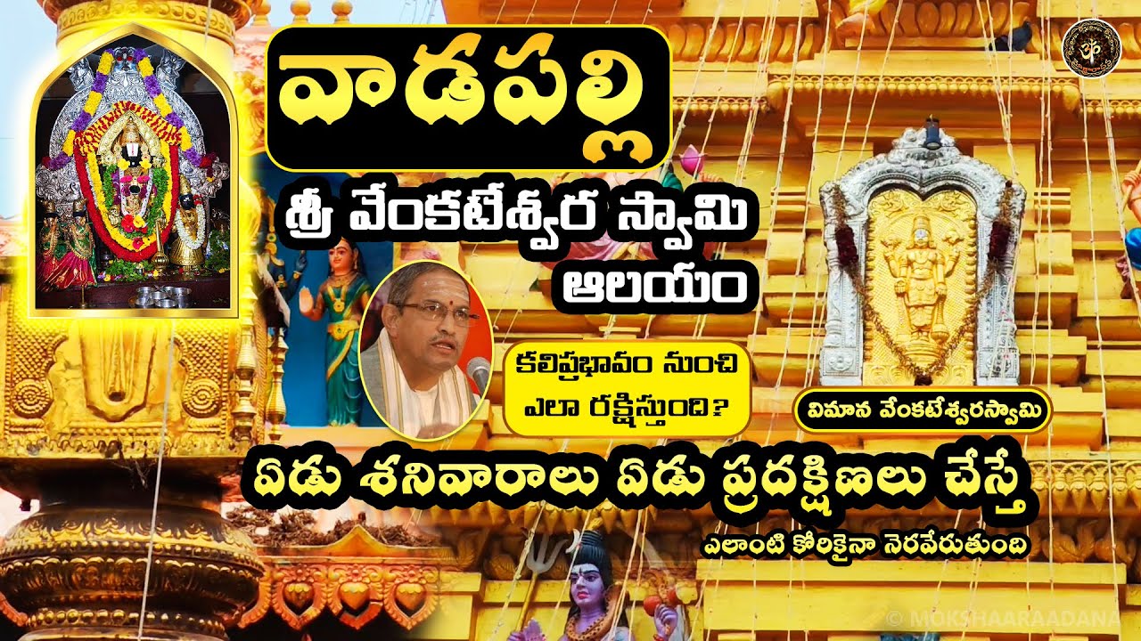 వాడపల్లి శ్రీ వేంకటేశ్వర స్వామి🙏ఏడు శనివారాలు ఏడు ప్రదక్షిణలు చేస్తే ఎలాంటి కోరికైనా నెరవేరుతుంది?😍