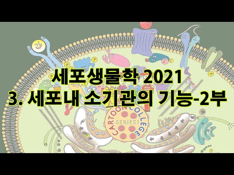 2021 세포생물학 chapt 2 세포막과 물질수송 2