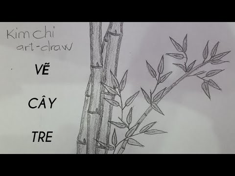 Vẽ Cây Tre bằng bút chì  How to draw Bamboo  YouTube